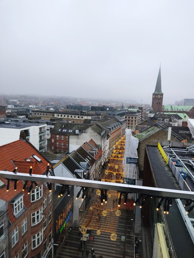 IMG_20220102_135314-768x1024 Aarhus, Denmark: Living the Quiet Power of a City That Doesn’t Try to Impress